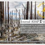 Call for Papers and Special Issue Proposals